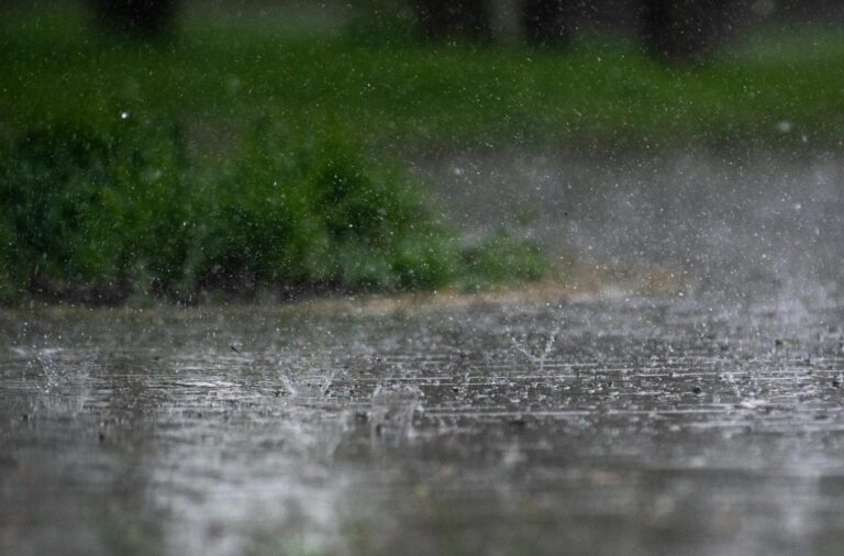 How to Prepare Your Home for Georgia’s Rainy Season
